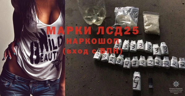 СК Алзамай