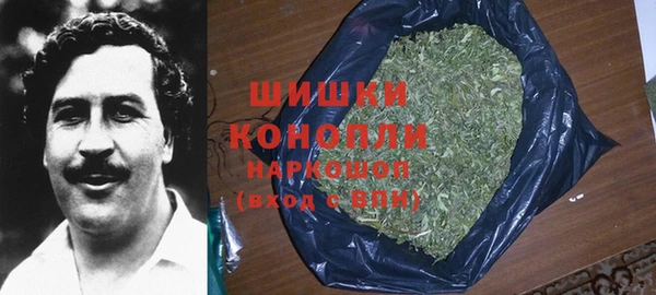 PSILOCYBIN Алексеевка