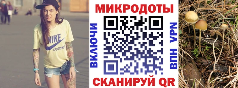 Галлюциногенные грибы Psilocybe  Сокол 